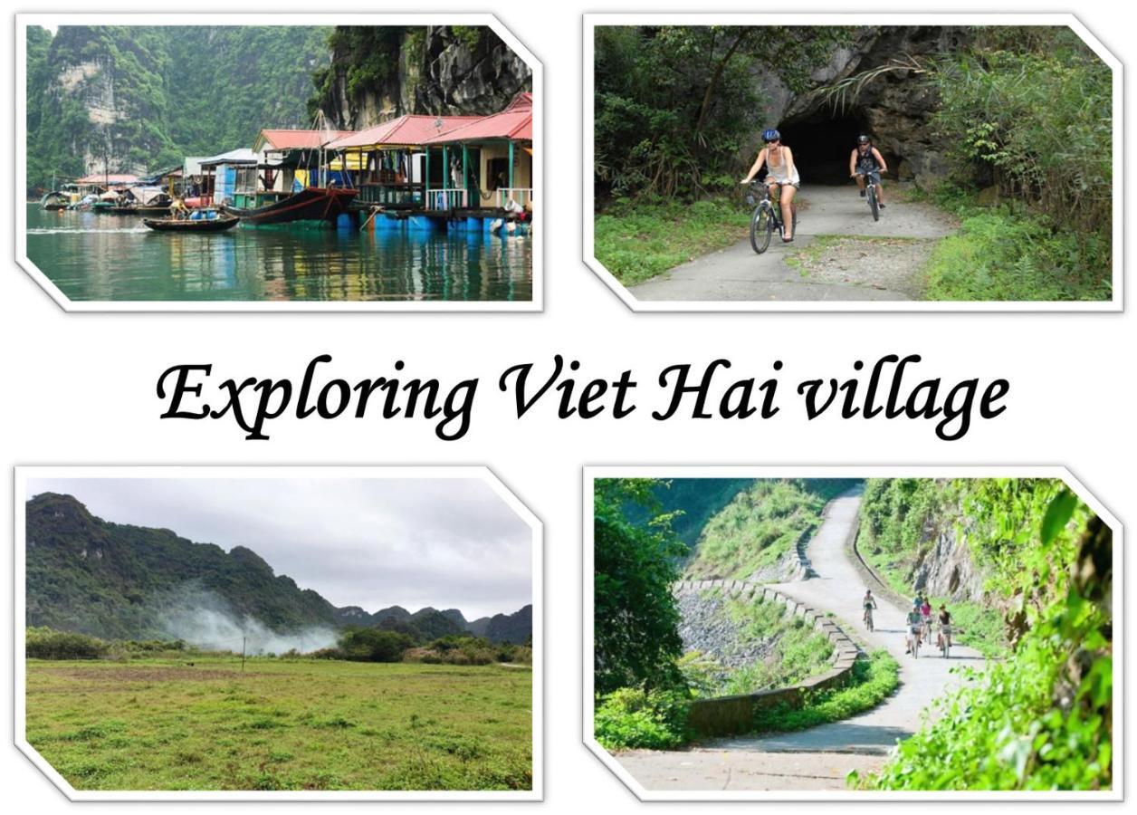 Domik Homestay - Cat Ba Dong Khe Sau Екстериор снимка